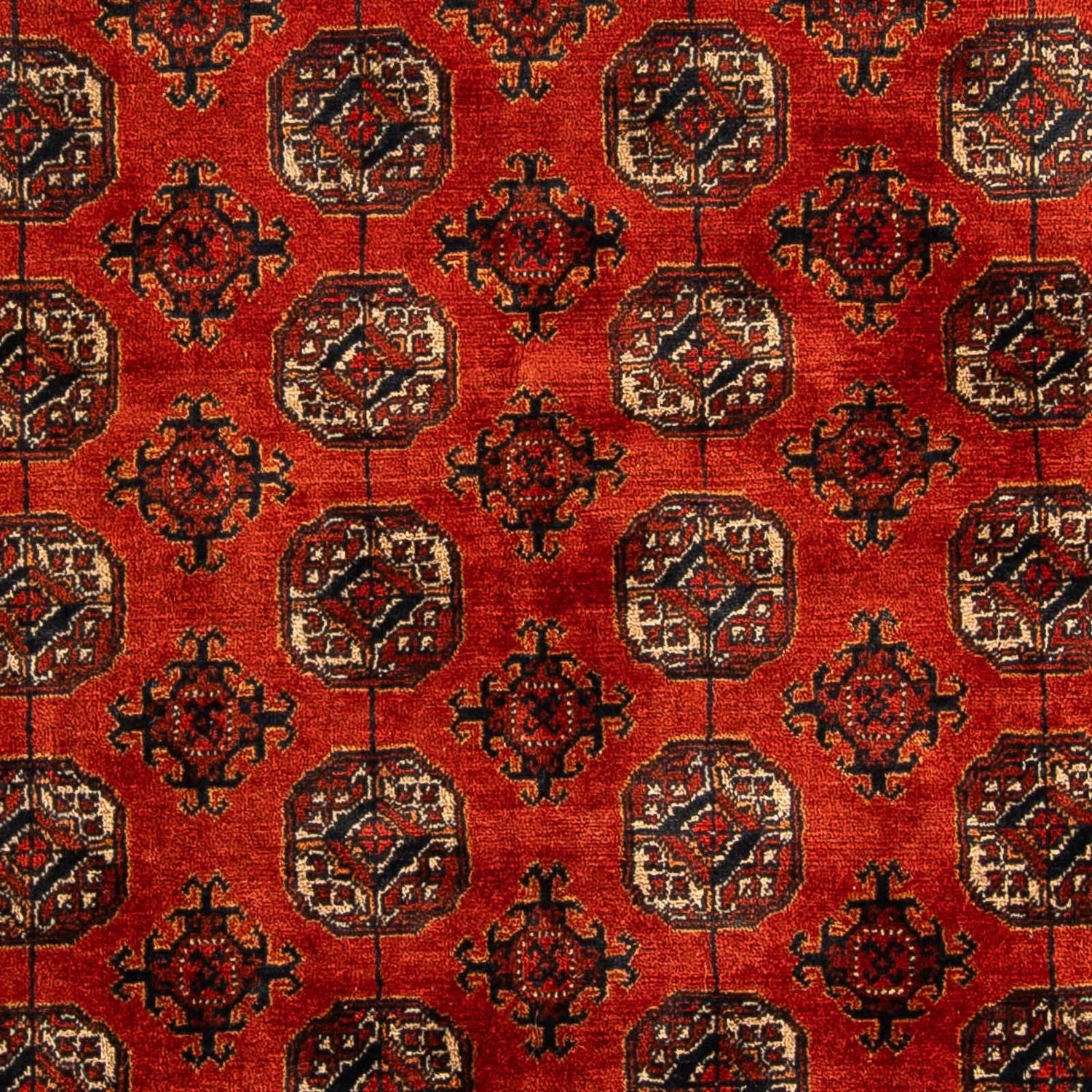 Afghan Teppich - Buchara 199 x 124 cm - dunkelrot - Image 2