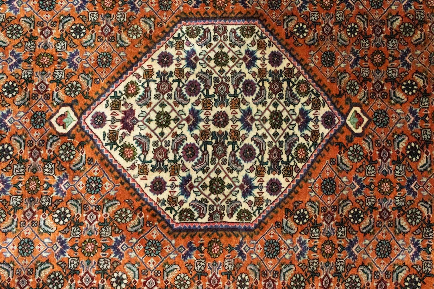 Perserteppich - Bidjar 220 x 134 cm - rost - Image 2