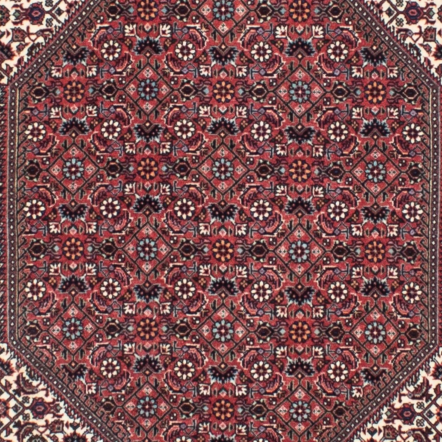Perserteppich - Bidjar - Royal 317 x 88 cm Teppich Läufer - Image 2