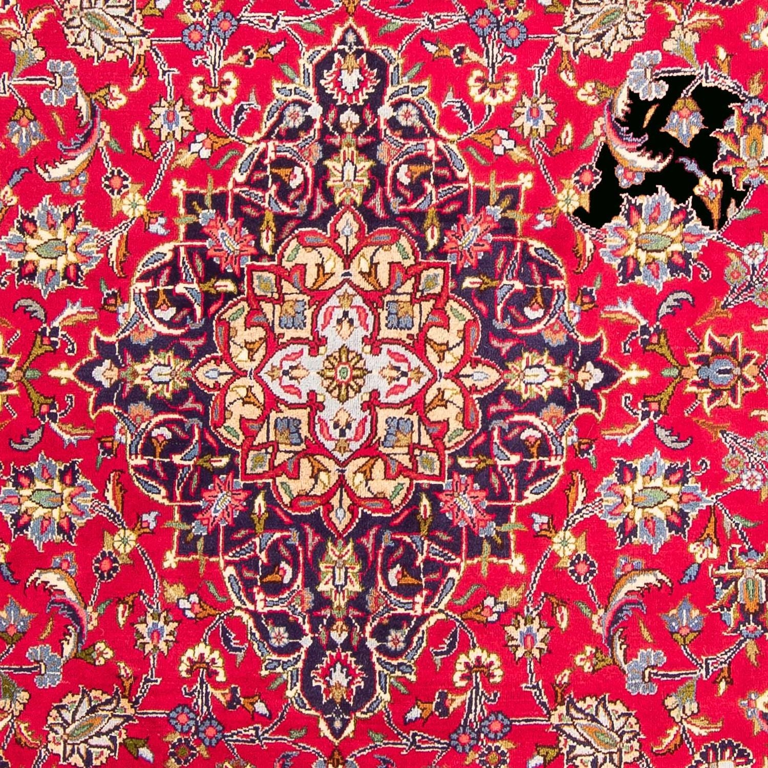 Kaschmar Teppich 300x200cm - Perserteppich - Image 2