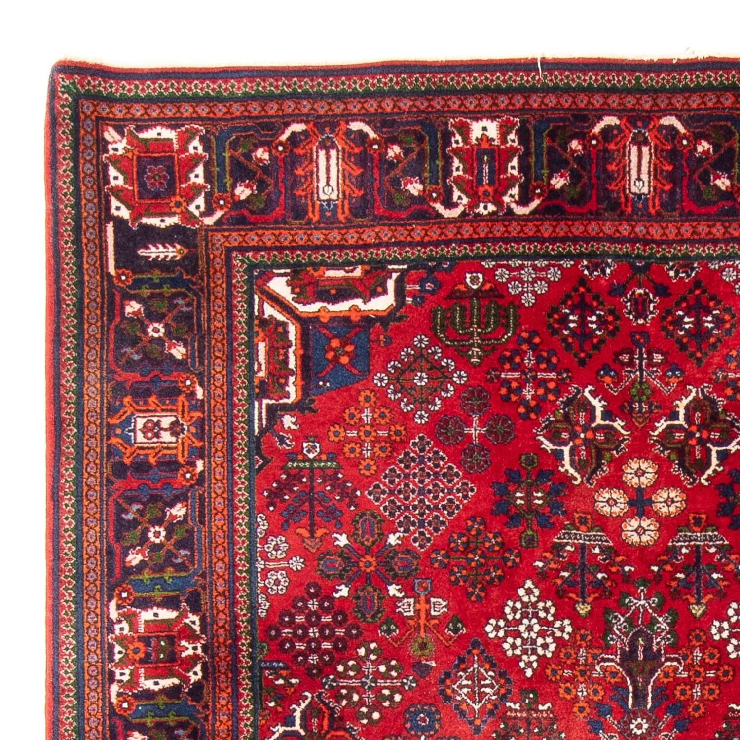 Perserteppich - Nomadic - 280 x 168 cm - rot - Image 3