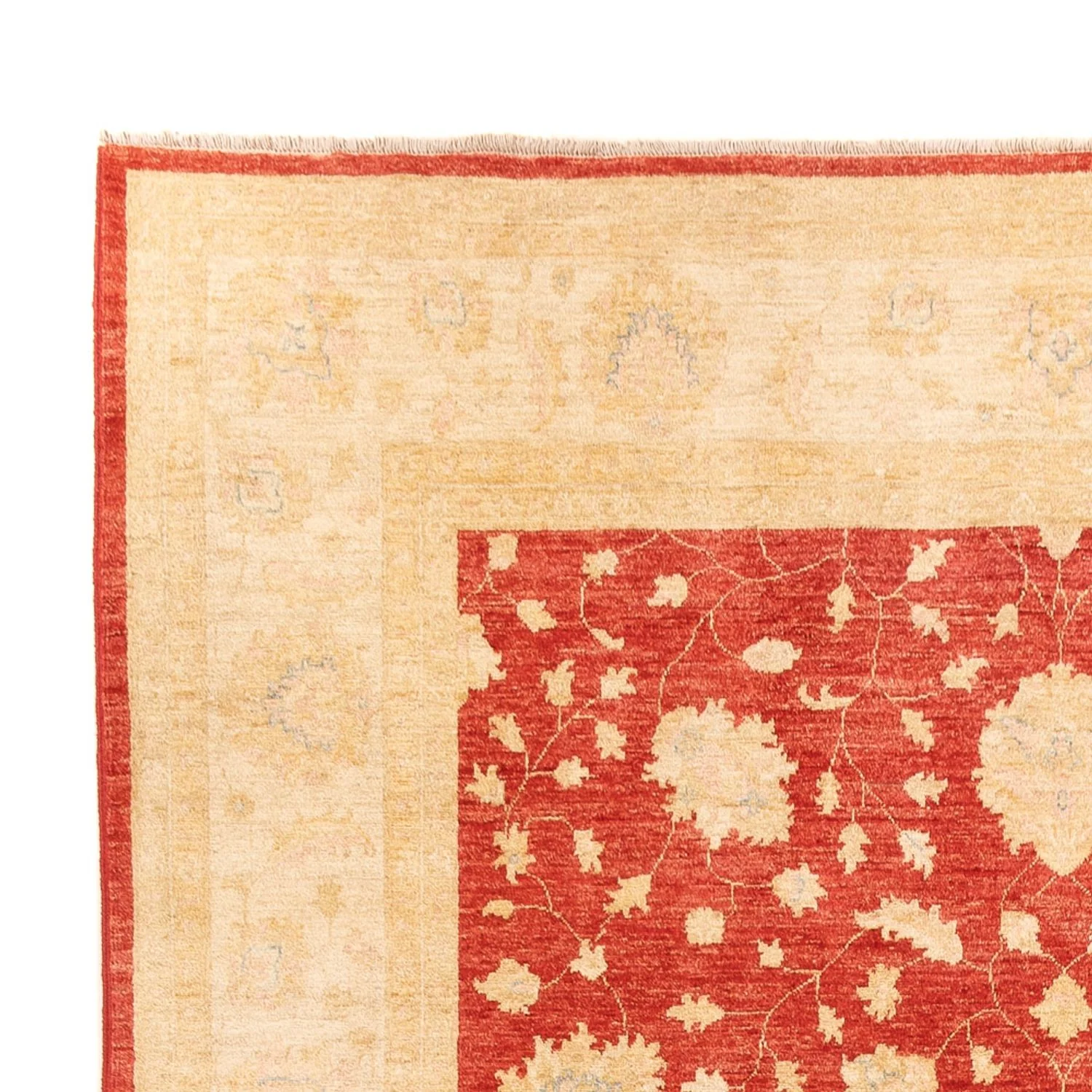 Ziegler Teppich - 355 x 254 cm - rot - Image 3