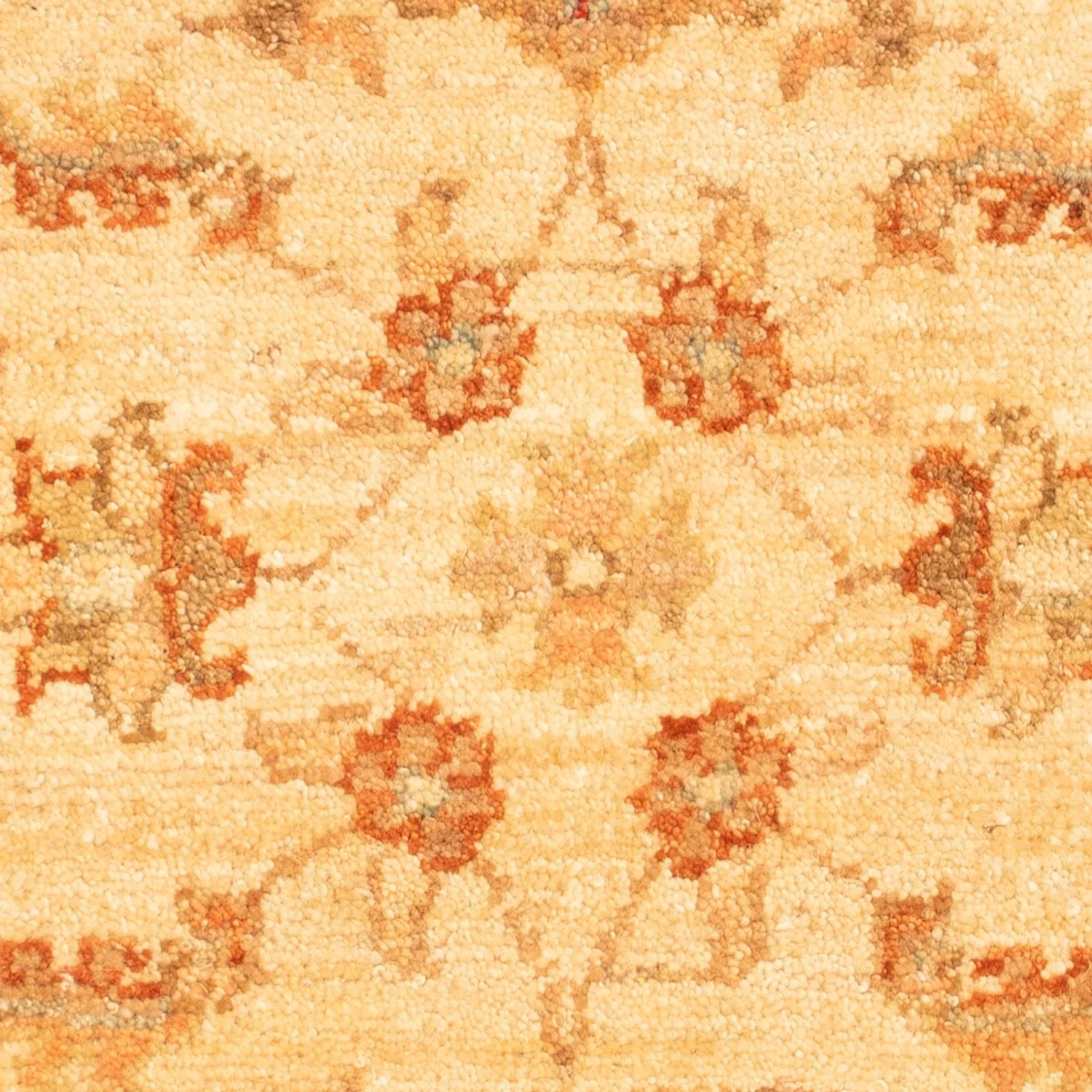 Ziegler Teppich 65x49cm - Orientteppich - Image 2