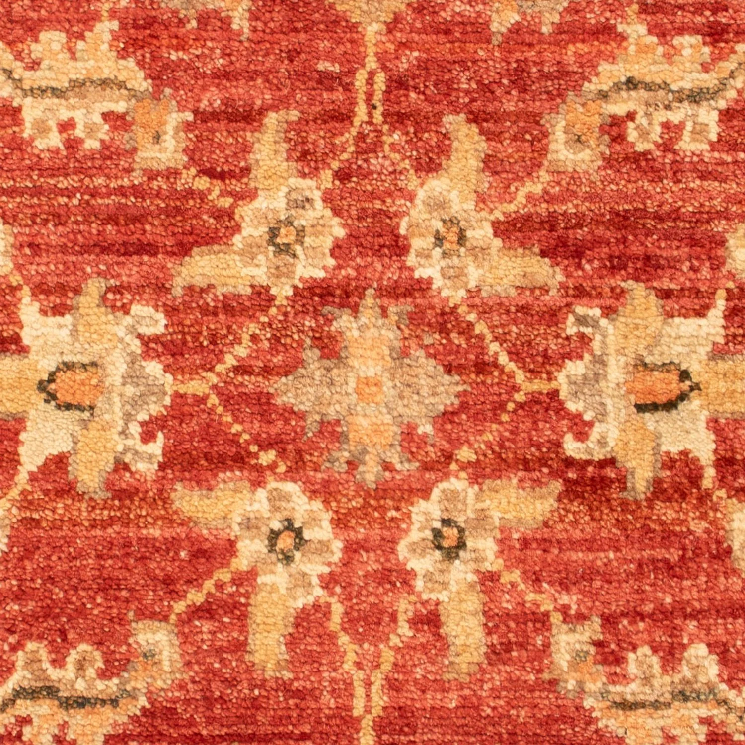 Ziegler Teppich 71x52cm - Orientteppich - Image 2