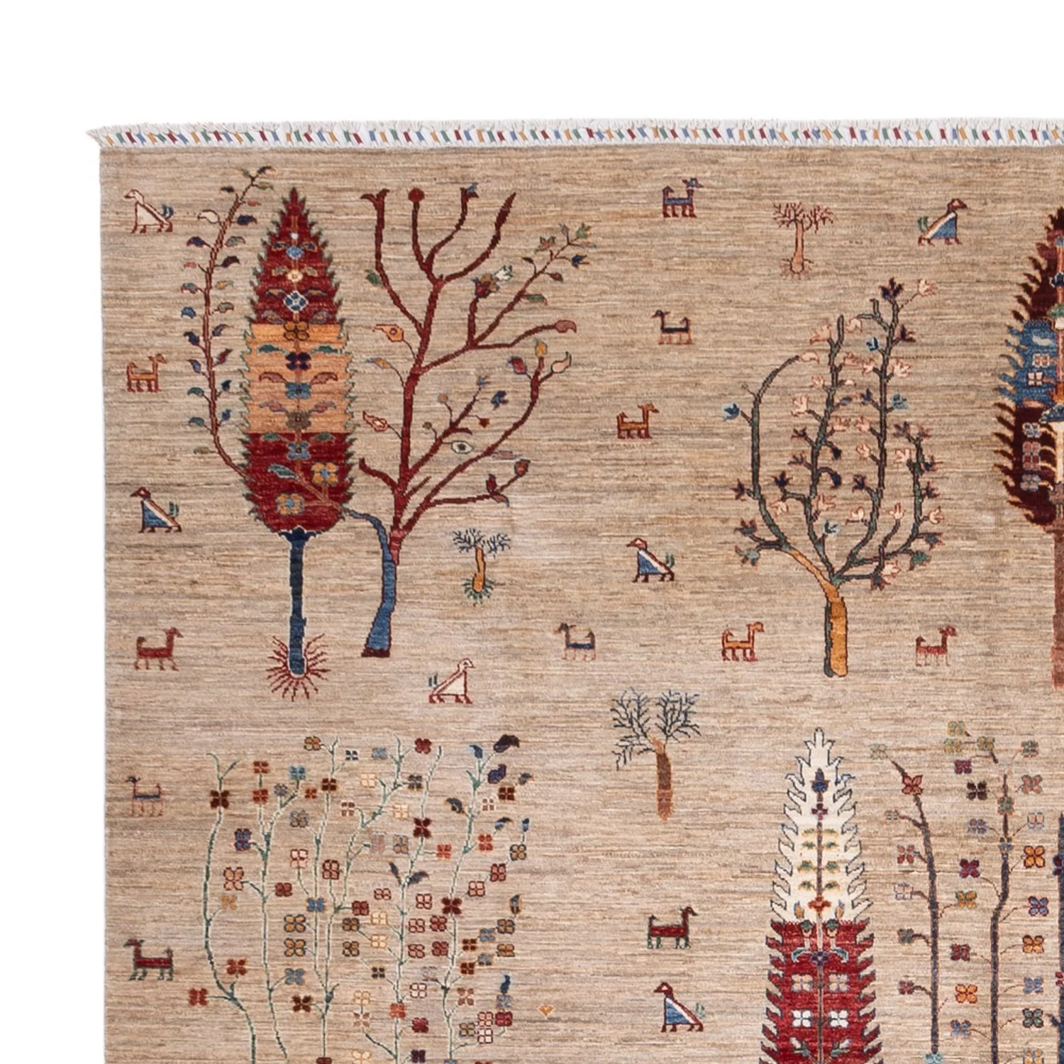 Ziegler Teppich - Ariana - 392 x 292 cm - beige - Image 3